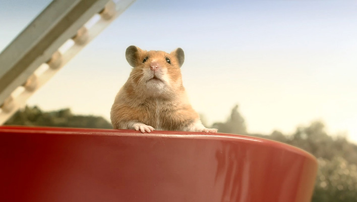 Hamster Hank (Foto: eBay)