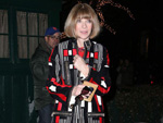 Anna Wintour: Langeweile auf dem roten Teppich