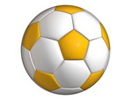 Erlebe das Halbfinale der Fußball Weltmeisterschaft in Brasilien!