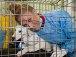 Alena Gerber: Macht sich für Straßenhunde stark