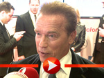 Arnold Schwarzenegger (Foto: HauptBruch GbR)