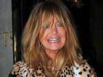 Goldie Hawn: Hollywood Comeback nach 14 Jahren