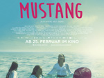 „Mustang“ – Das Gewinnspiel zum Kino-Start