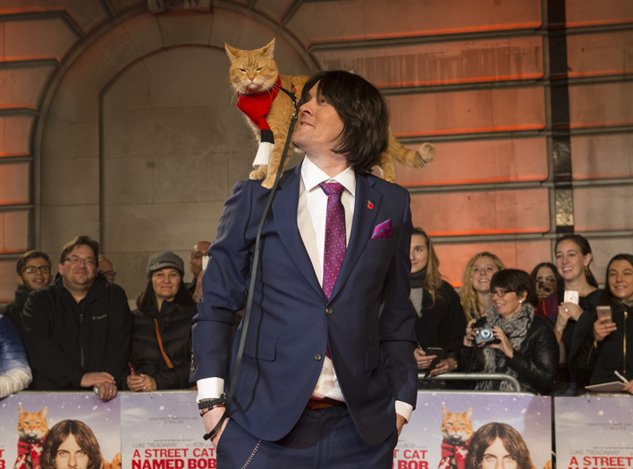 Premiere von "Bob, der Streuner" in London