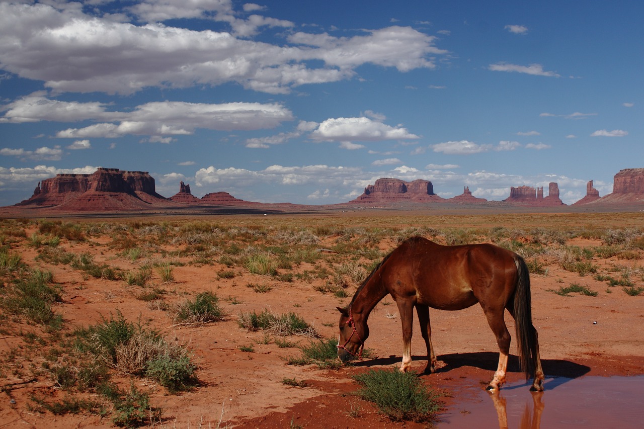 Urlaub in den USA machen – Auf das sollte man achten!