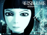 Eisblume: Aus dem Nichts in die Charts