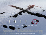 Scully und Mulder: Ab 24. Juli wieder auf Alien-Jagd!