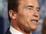 Arnold Schwarzenegger: Sohn beim Surfen schwer verletzt