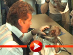David Hasselhoff signiert einen Hund
