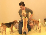 Berlin: Erstes City-Hundehotel eröffnet!