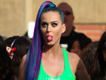 Katy Perry: Versöhnungs-Geschenk für Lover Rob Ackroyd