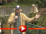 Knut trifft Gottschalk
