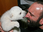 Eisbär Knut und Thomas Dörflein (Photo: Zoo Berlin)