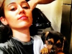 Miley Cyrus: Findelhund aufgenommen