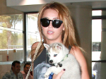 Miley Cyrus: Bruder Trace macht sie zur Tante
