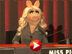 Miss Piggy hat keine Angst vor Schweinefleischfressern