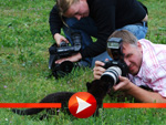 Die Panther-Babys Larisa und Sipura haben Spaß mit den Fotografen