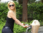 Paris Hilton: Genießt Unabhängigkeit