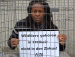 PETA: Prominente gegen Wildtiere im Zirkus