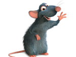 Ratte Remy aus dem Disney/Pixar-Film Ratatouille (Photo: Buena Vista International)