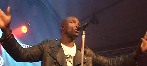 Seal (Foto: HauptBruch GbR)