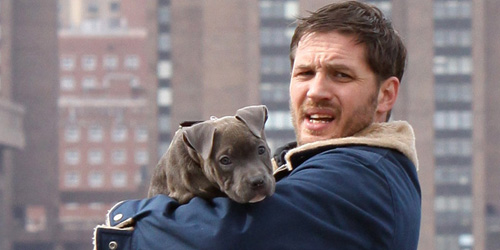 Tom Hardy